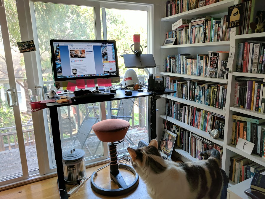 A standing desk with a large computer screen on it, a bookshelf wall to the right.
