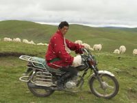 Tibetan grasslands have been a lifeline for pastoralists for thousands of years.