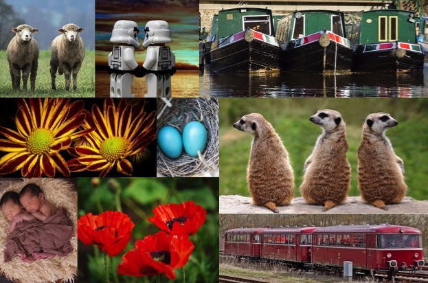 A collage of nine cute images showing two or three of the same object. Including sheep, Lego Stormtroopers, narrowboats, birds’ eggs, meercats, babies, and train carriages.