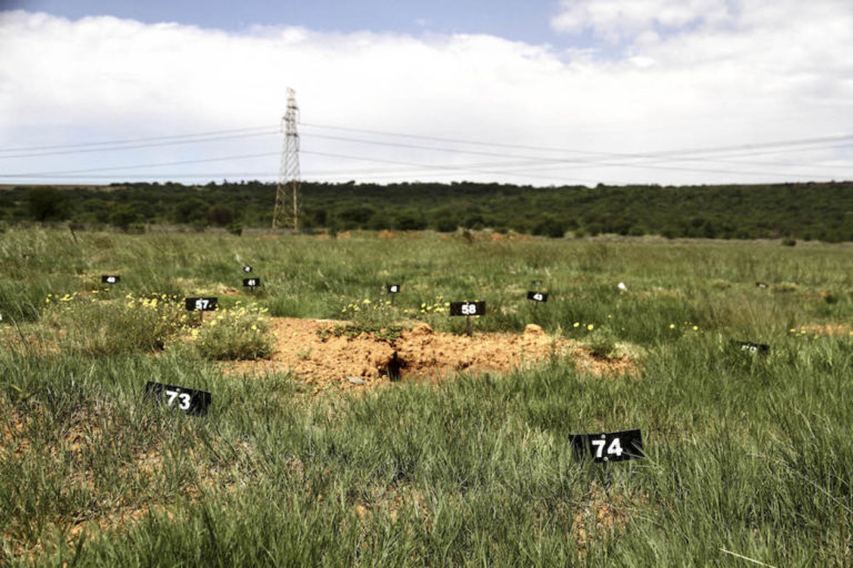 A field with sandy soil and scrubby grass, and a transmission tower in the background. Eleven numbered signs are placed irregularly in the ground, showing numbers in the 40s, 50s and 70s.