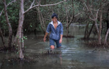 Photo of Wudan Yan wading through a mangrove.
