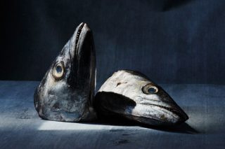 The heads of two fish, one of them standing upright, the other resting on its side, on a grayish blue background.