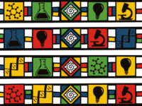 This pattern is inspired by the work of South African artist Dr. Ester Mahlangu of the Ndebele nation in South Africa. Such vibrant Ndebele patterns can be seen on houses, clothing, and other surfaces in South Africa, and this particular piece has science imagery as way to express the growing interest in decolonizing science in Africa.