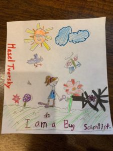 A child's drawing showing a person, flowers, a butterfly, the sun and a couple of clouds and the words I am a Bug Scientist.