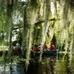 A group of people on a boat, navigating in what appears to be a calm river. The view is partially obstructed by hanging plants.