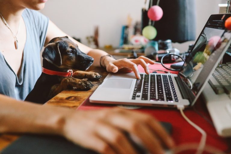 A woman sits in front of a laptop with a small black dog sitting on her lap, its paws on the table in front of the laptop.