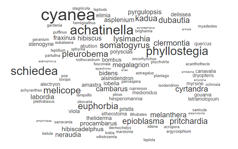 A word cloud with several dozen words, including cyanea, achatinella, phyllostegia, schiedea, and more.
