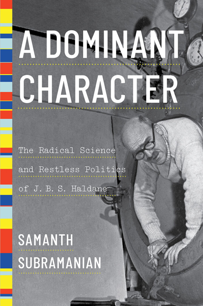 Cover of the book A Dominant Character, by Samanth Subramanian.