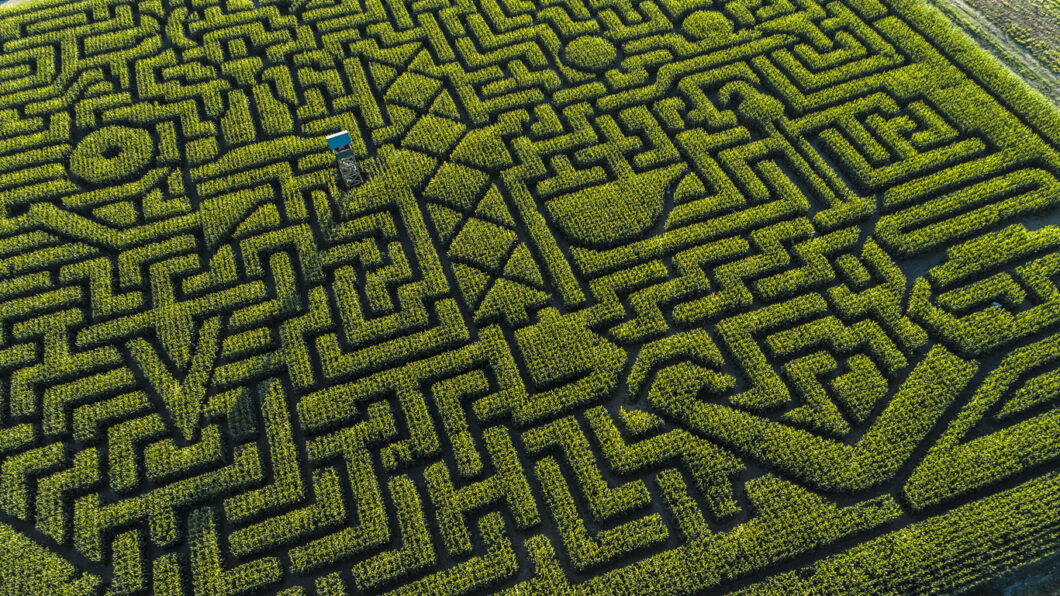 Aerial view of a corn maze full of geometric shapes.