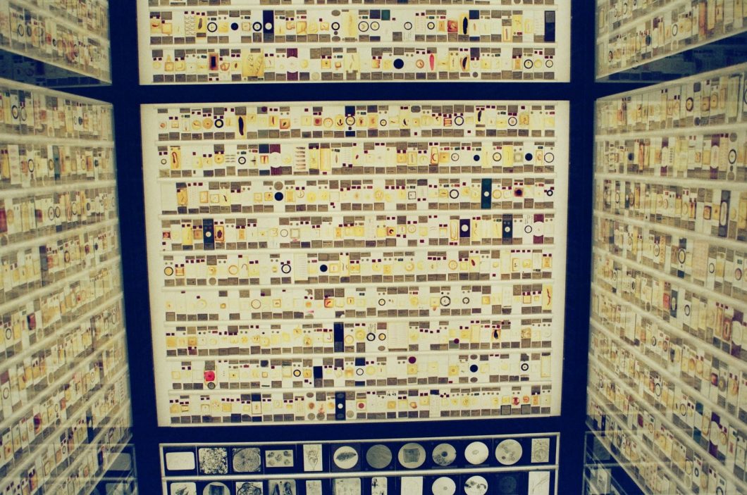 Hundreds of microscope slides sit next to each other, completely covering four walls in a room.