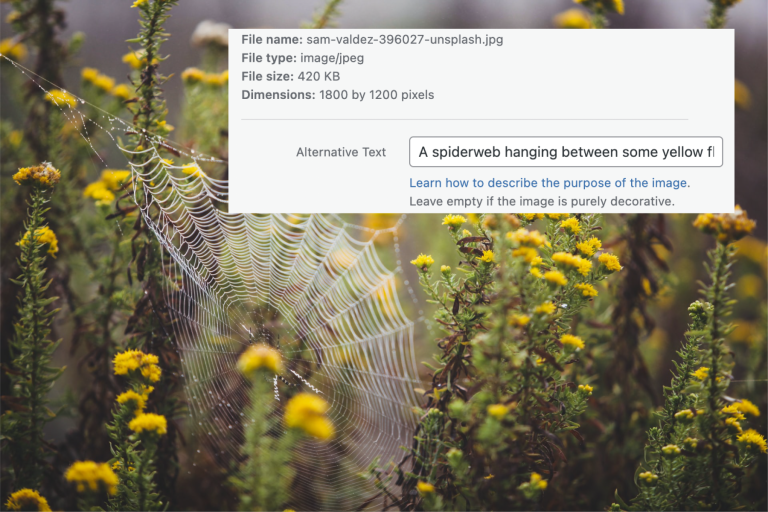 A spiderweb hanging between some yellow flowers, with a box in the foreground showing WordPress alt-text form.