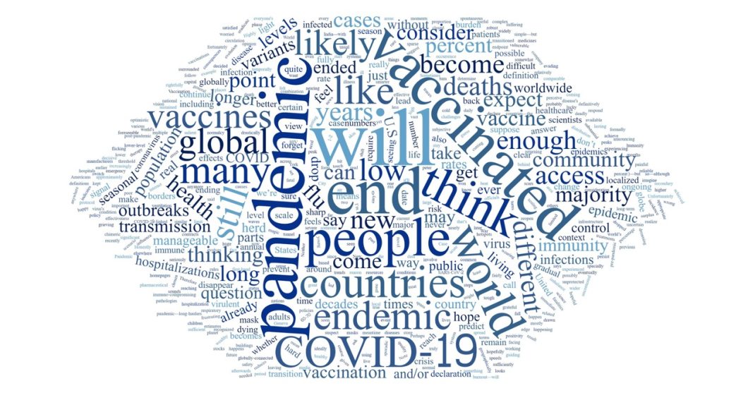 A word cloud in which the most prominent words are pandemic, will, end, people, vaccinate, COVID-19.